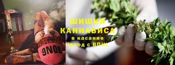 гашик Лабытнанги