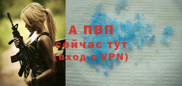 гашик Лабытнанги