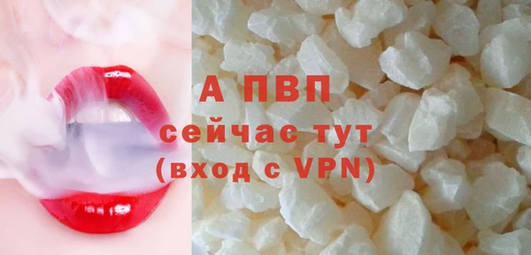 гашик Лабытнанги