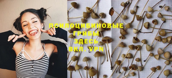 СК Лихославль