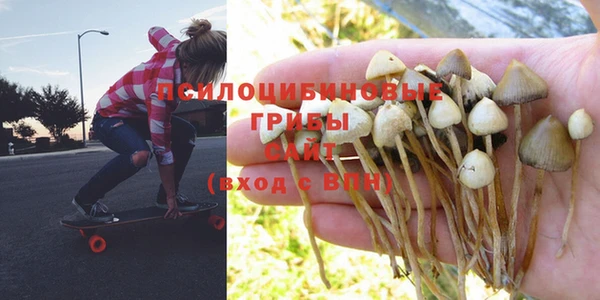 СК Лихославль