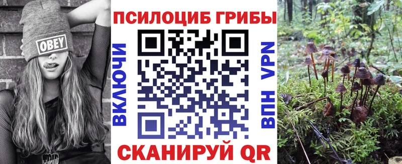 Псилоцибиновые грибы ЛСД  гидра ссылки  Людиново 